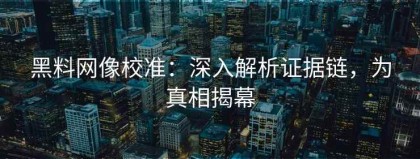 黑料网像校准：深入解析证据链，为真相揭幕
