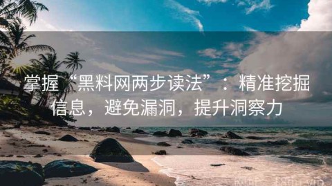 掌握“黑料网两步读法”：精准挖掘信息，避免漏洞，提升洞察力