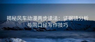揭秘风车动漫两步读法：证据链分析与同口径写作技巧