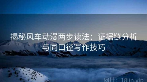 揭秘风车动漫两步读法：证据链分析与同口径写作技巧