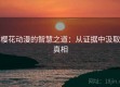 樱花动漫的智慧之道：从证据中汲取真相