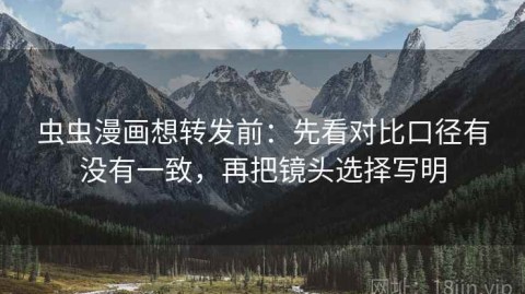 虫虫漫画想转发前：先看对比口径有没有一致，再把镜头选择写明