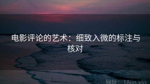 电影评论的艺术：细致入微的标注与核对