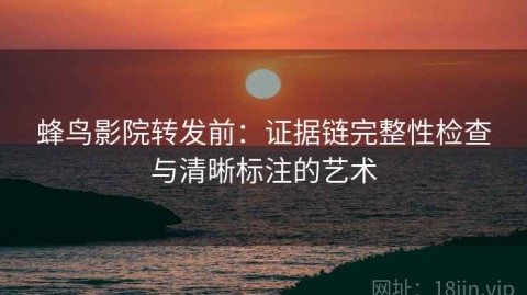 蜂鸟影院转发前：证据链完整性检查与清晰标注的艺术