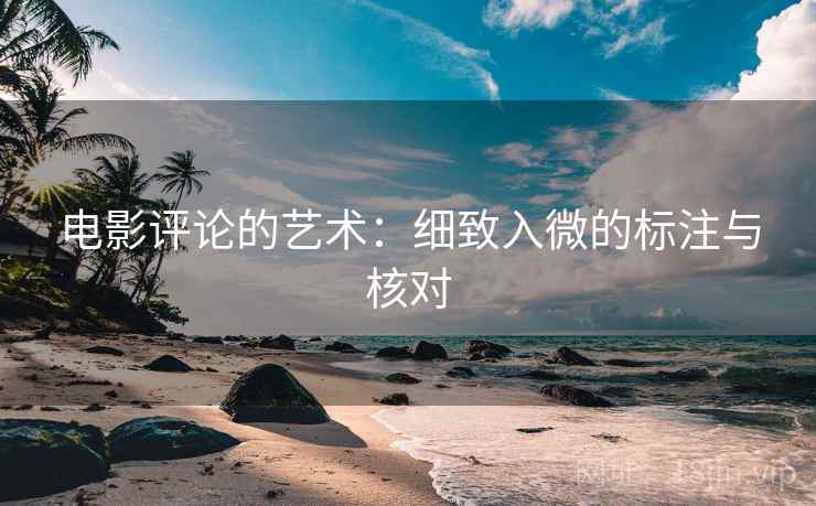 电影评论的艺术：细致入微的标注与核对