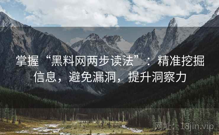 掌握“黑料网两步读法”：精准挖掘信息，避免漏洞，提升洞察力