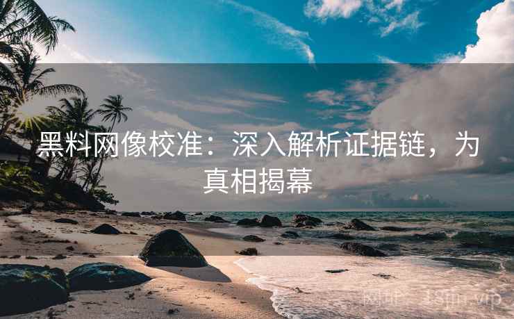 黑料网像校准：深入解析证据链，为真相揭幕